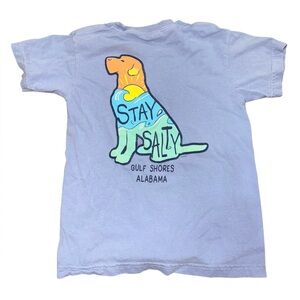 Comfort Colors Light Blue Kids T-Shirt with Colorful Dog Graphic